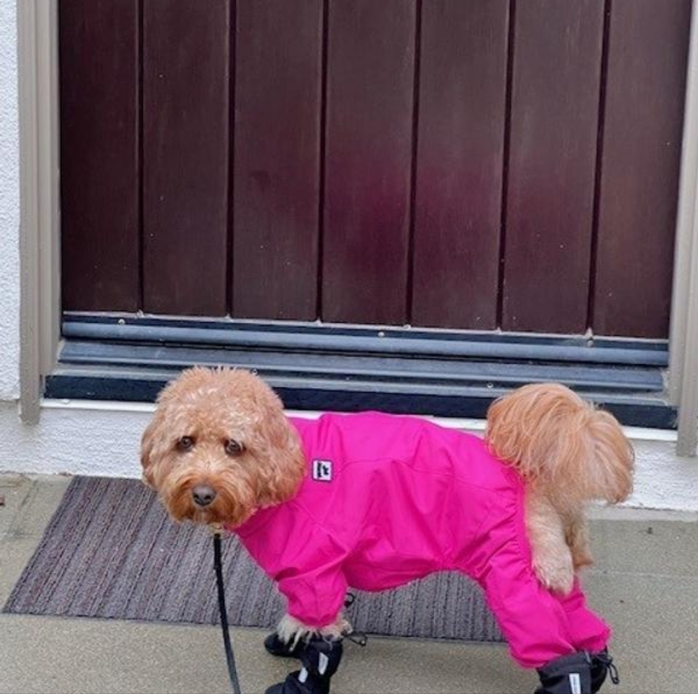 Canada Pooch Snowsuit Hot Pink Size 16